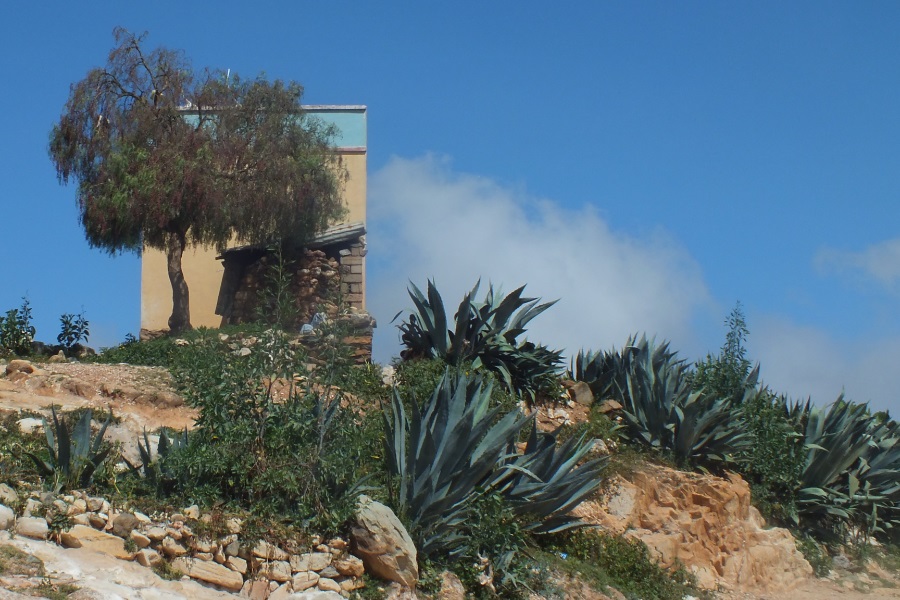 Local scenery - Adi Nefas Eritrea.