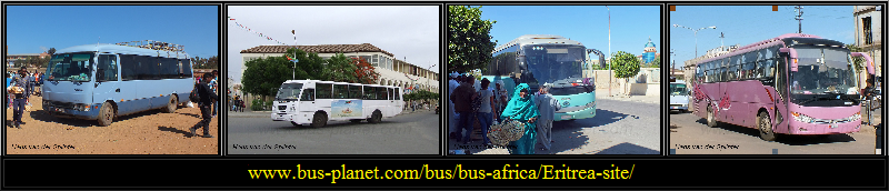 New buses of Harat Public Transport