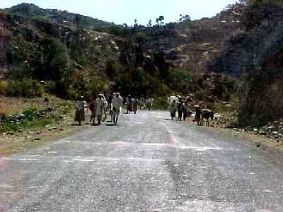 On the way to Senafe - January 2001